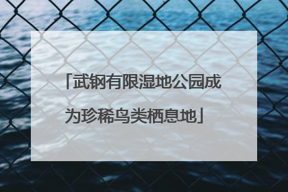 武钢有限湿地公园成为珍稀鸟类栖息地